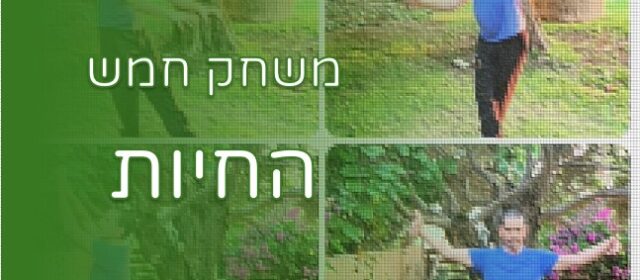 משחק חמש החיות - אתר נאנו צ'י Nanoqi.co.il