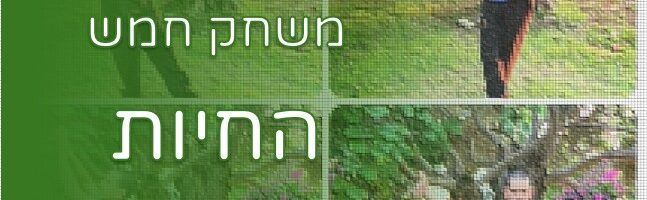 סדרת צ’י קונג משחק חמש החיות – Wu Qin Xi