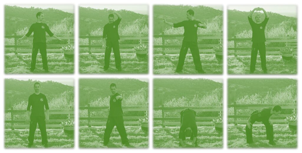 סדרת צ'י קונג בה דואן ג'ין - 8 יחידות רקמת המשי - Baduanjin - Ba Duan Jin - Eight-Section Brocade Qigong - אתר נאנו צ'י Nanoqi.co.il