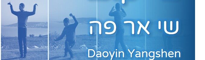 סדרת הצ’י קונג שי אר פה – Shi Er Fa